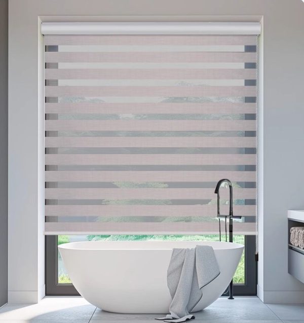 Blinds for Windows Free-Stop Roller Shades Dual Layer Light Filtering Privacy for Day and Night, Home,Office,Bedroom,Bathroom